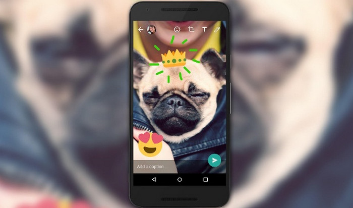 Mirip Snapchat, WhatsApp untuk iOS Bisa Coret-coret Foto