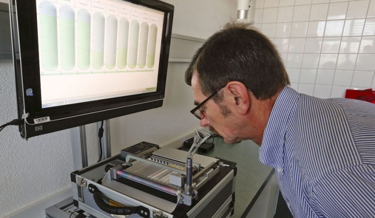 Artificial Intelligence Nanoarray