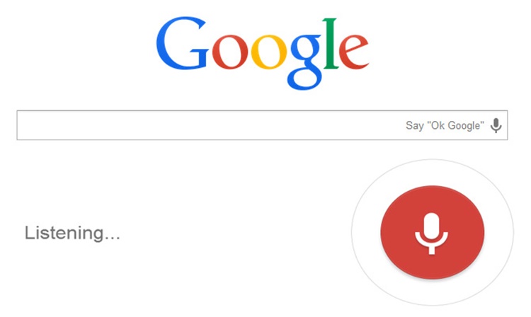 Google Voice Search