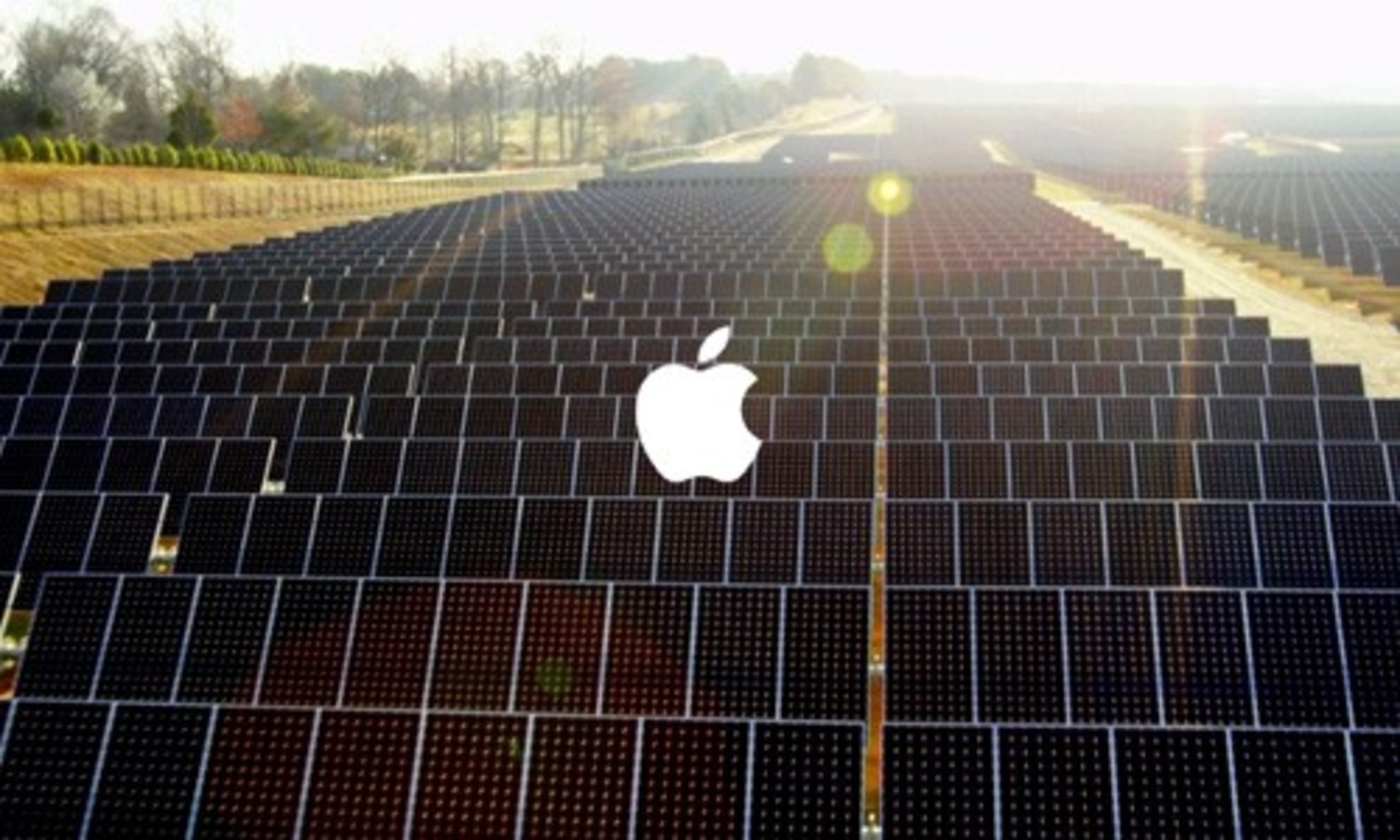 Apple Kembali Dinobatkan Sebagai Perusahaan Teknologi Paling “Hijau”