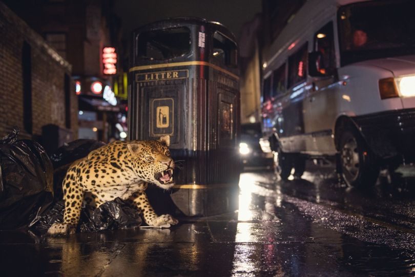 Kru Harry Potter Bikin Robot Macan Tutul Nampak Realistis [Video]