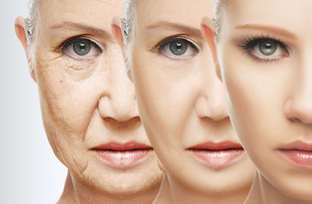 anti-aging stem cell
