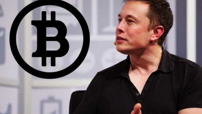harta Bitcoin Elon Musk