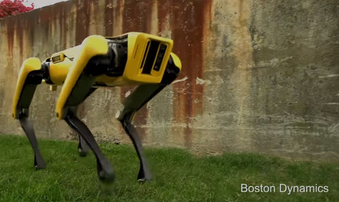 Robot Anjing Ini Bisa Bantu Bersihkan Rumah