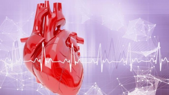 AI Kini Bisa Deteksi Penyakit Jantung dan Kanker