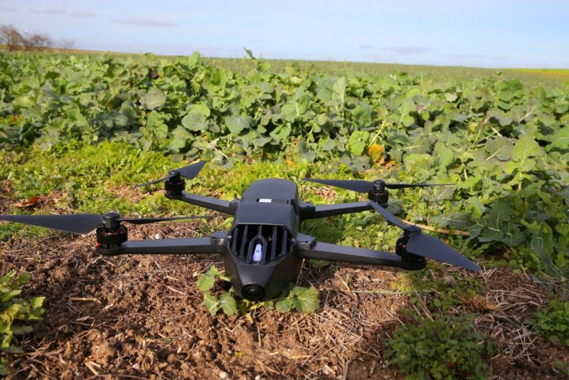 Alphabet Kembangkan AI untuk Genjot Produksi Pertanian