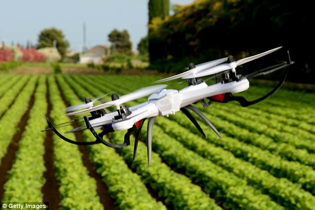 Otoritas Florida akan Gunakan Drone untuk Basmi Nyamuk