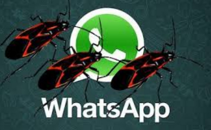 Bug WhatsApp Hilangkan Nama Pengirim Pesan