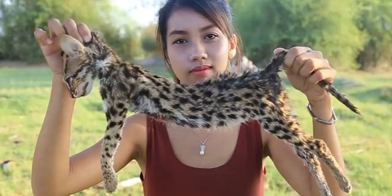 Makan Satwa Langka, YouTuber Kamboja Terancam Dipenjara