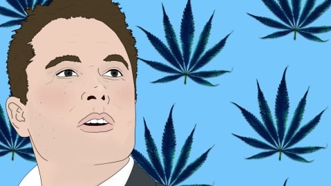 Elon Musk Bantah Tudingan Pecandu Ganja