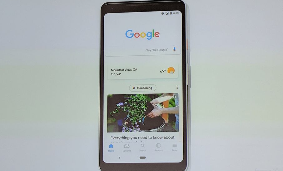 Google Ganti Feed Jadi Discover, Apa Bedanya?
