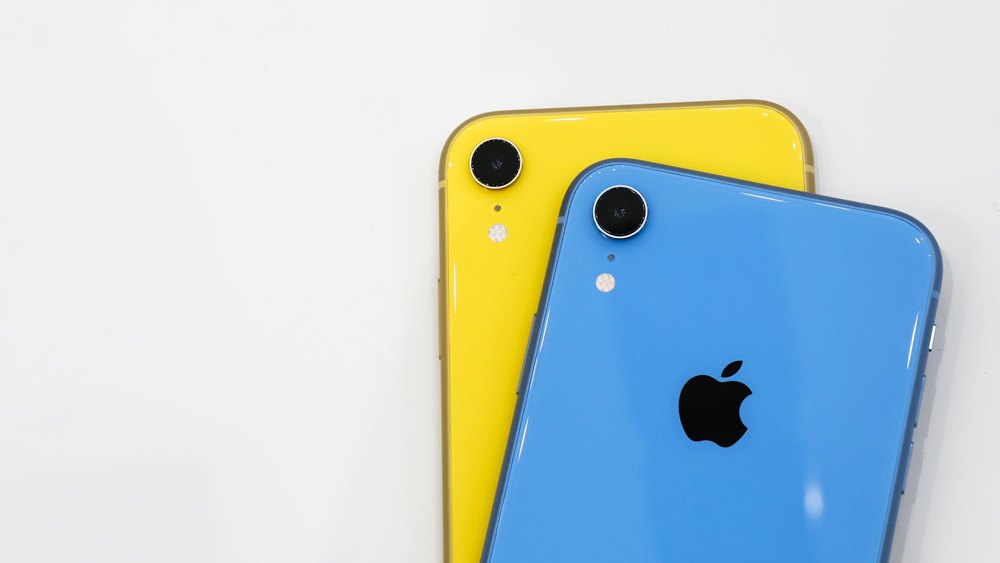 mode potrait khusus hewan