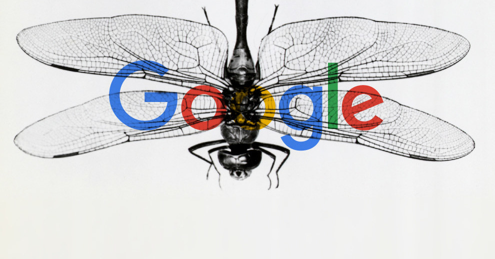 Lagi, Karyawan Google Protes Proyek Dragonfly untuk China
