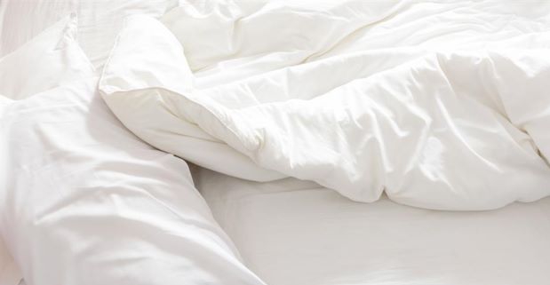 Peneliti di Amerika Bikin Aplikasi Pendeteksi Kutu Busuk