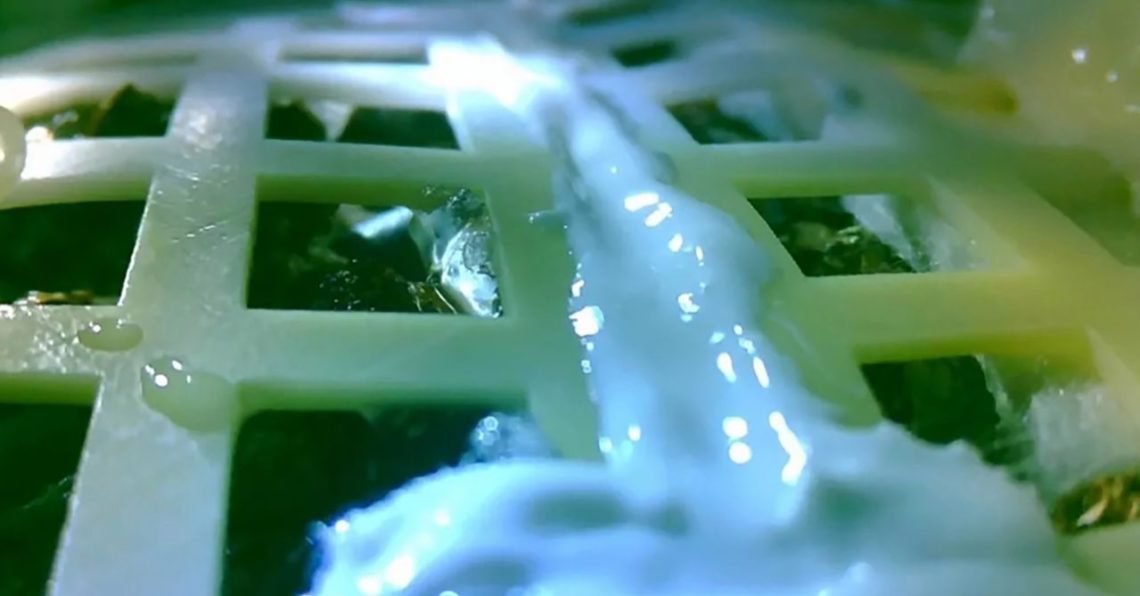 Pertama Kali China Berhasil Tanam Tumbuhan di Bulan