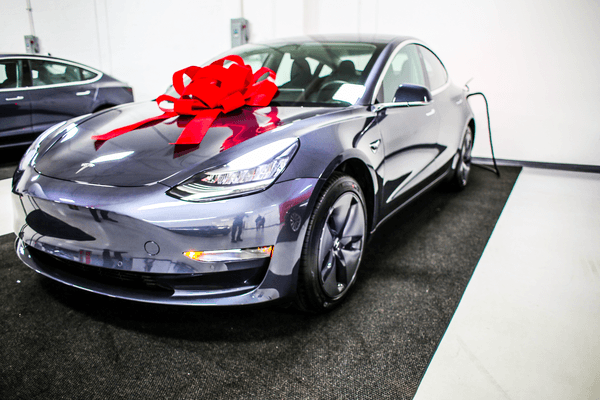 Bug Tesla Model 3