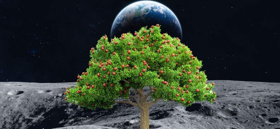NASA Berencana Tanam Buah di Mars, dan Itu Paprika!