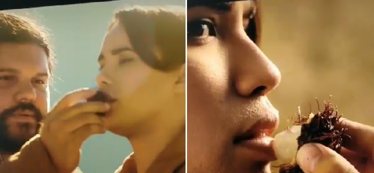 Viral! Rambutan Ternyata “Buah Luar Angkasa” dari Planet Asing