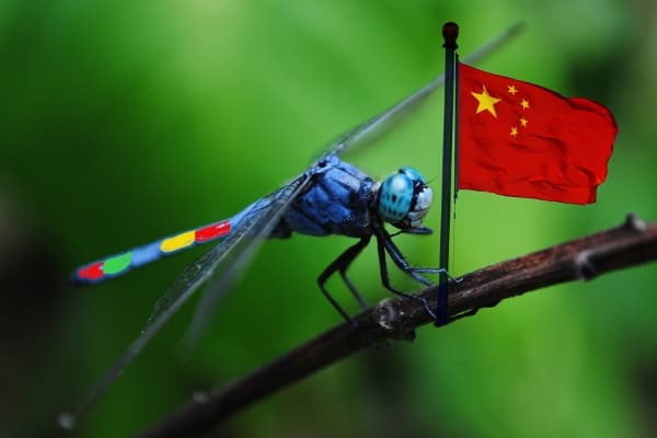 Lagi, Google Mengaku Sudah Setop Project Dragonfly