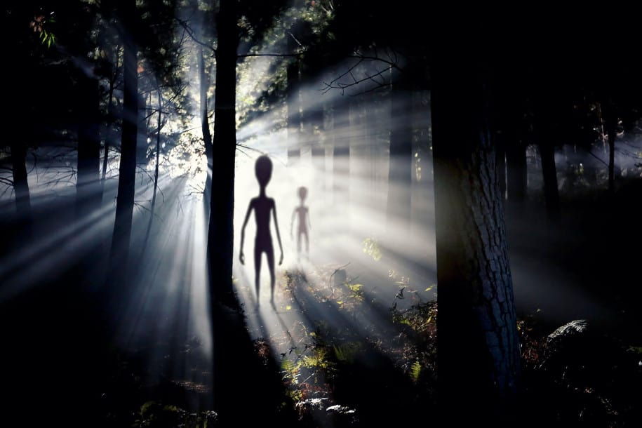 Alien manusia