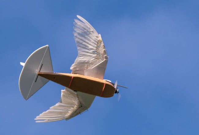 Robot Burung Merpati