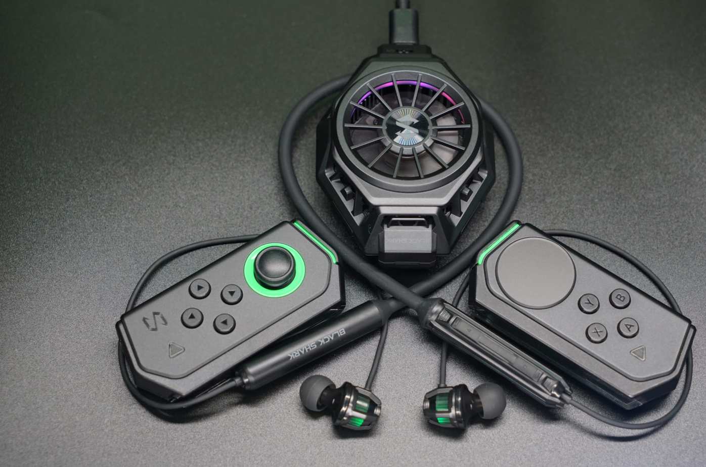 Black Shark Ophidian