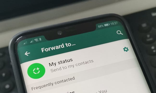 Forward message WhatsApp