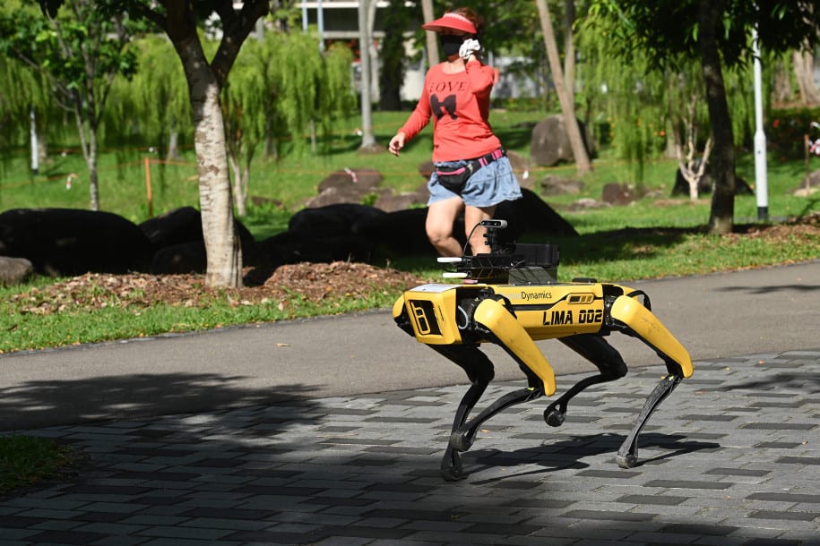 Robot anjing Singapura