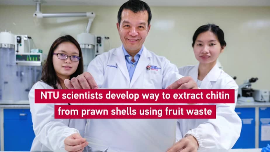 Plastik ramah lingkungan