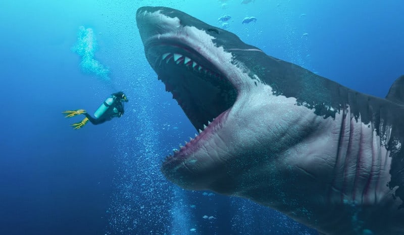 Hiu Raksasa Megalodon