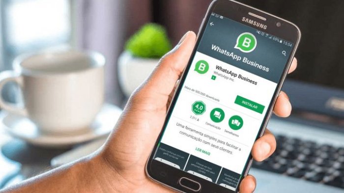 Biaya WhatsApp Business