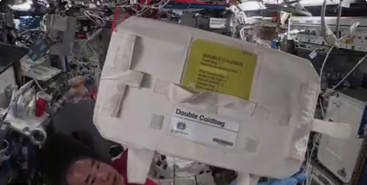 Minuman Anggur Bordeaux