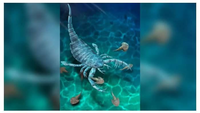 Ngeri, Kalajengking Zaman Purba Ternyata Seukuran Anjing