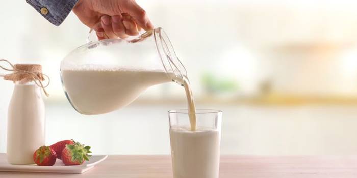 Susu Mikroorganisme Sapi