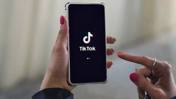 TikTok Kini Punya Library GIF, Konten Bisa Masuk FYP!