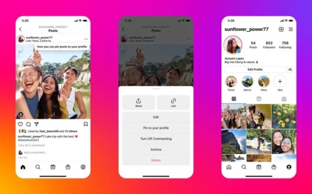 Fitur Grid Pinning Instagram