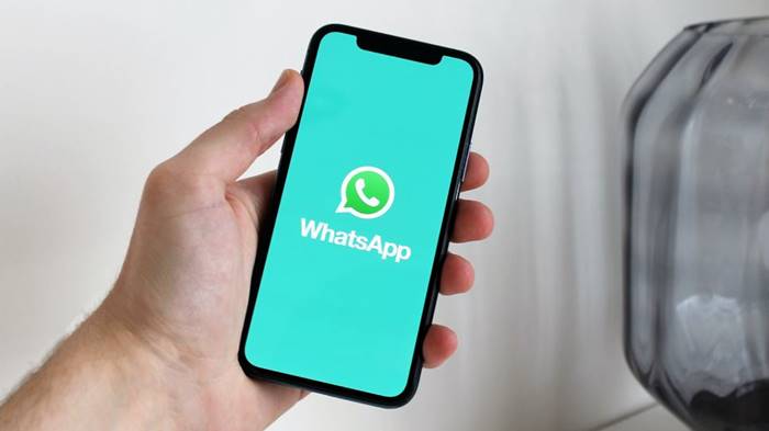 Cara Belanja Online di Aplikasi WhatsApp, Mudah dan Cepat!
