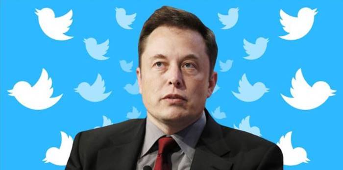 Elon Musk Kreator Video Twitter