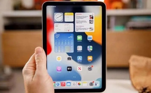 iPad Mini