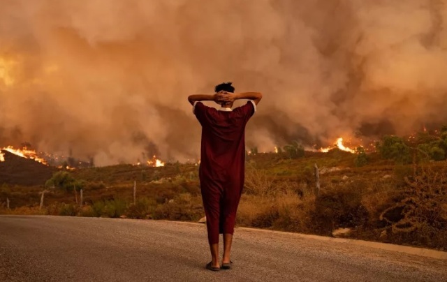 Dampak Pemanasan Global