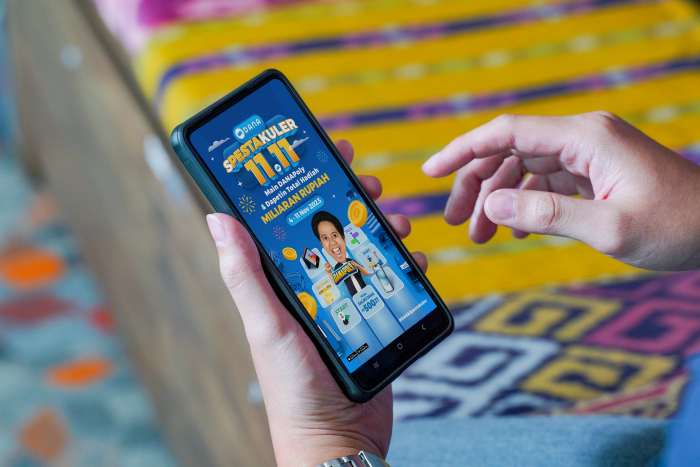 DANA Spektakuler 11.11 DANAPoly