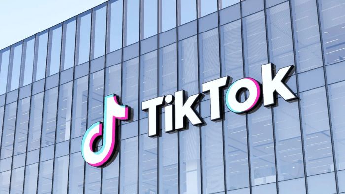 TikTok hapus jutaan akun palsu di tengah perang Israel-Hamas