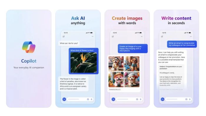 Microsoft Copilot iOS