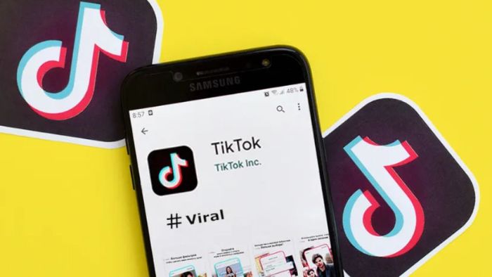 Fitur Pelacakan Hashtag TikTok