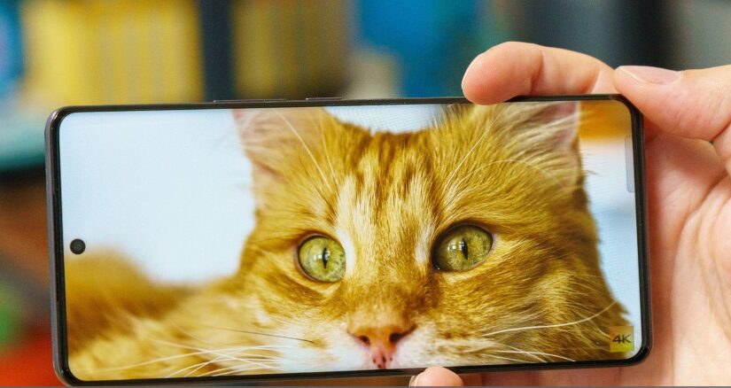 Vivo V50, Vivo V50e, Vivo Y29 4G, smartphone mid-range terbaru, Vivo terbaru 2024