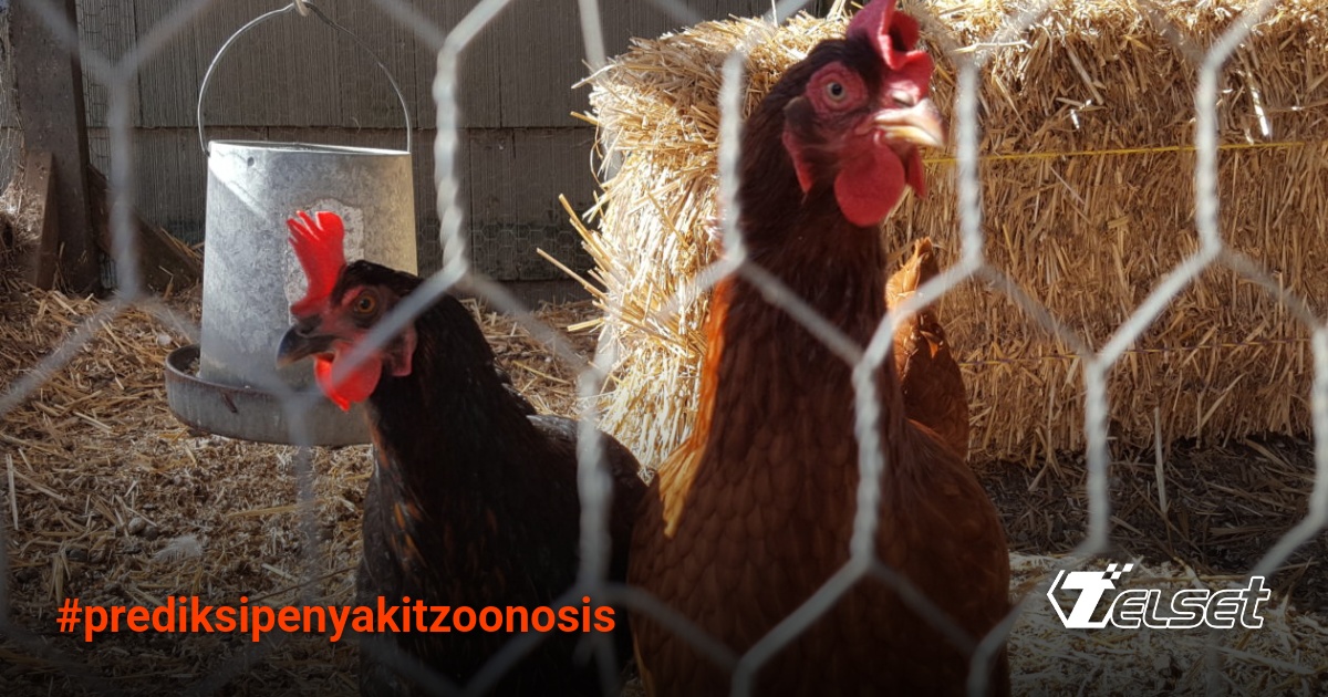 Ilustrasi AI menganalisis virus zoonosis dari hewan ke manusia