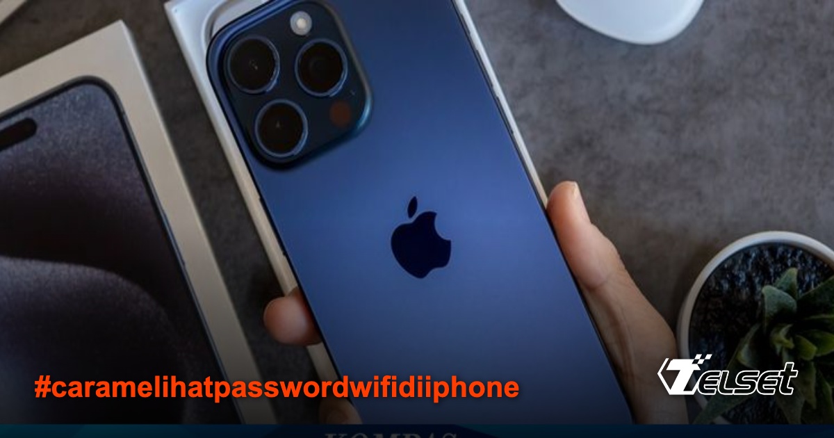 Ilustrasi iPhone menampilkan password WiFi di menu pengaturan