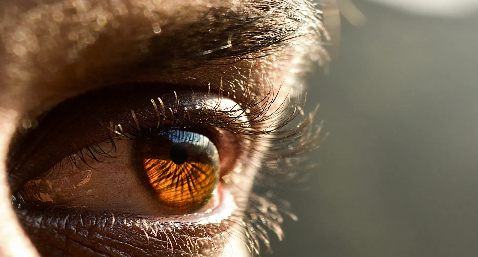 Ilustrasi sinapsis AI yang meniru sistem penglihatan manusia