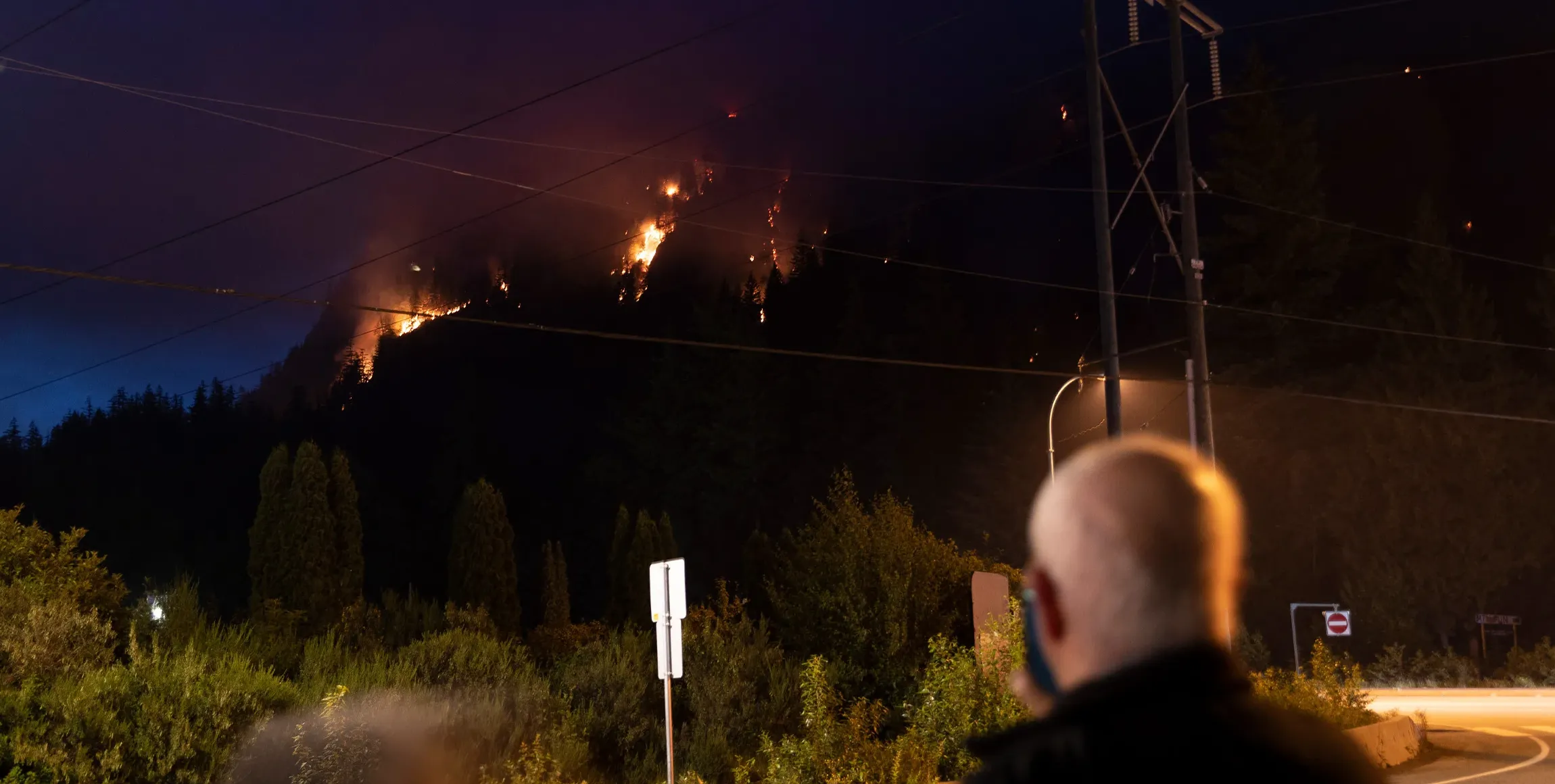 Ilustrasi kebakaran hutan dengan teknologi deteksi AI