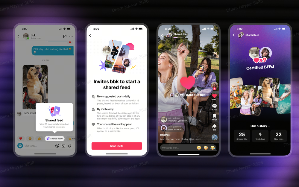 TikTok Luncurkan Shared Feed dan Collections, Instagram yang Ditiru?